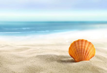 罗马城主场胜势，实力再次得到肯定