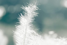 欧国联比赛胜方策略分析关键在哪