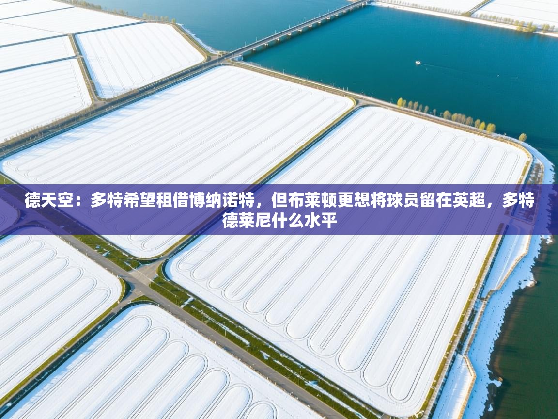 德天空：多特希望租借博纳诺特，但布莱顿更想将球员留在英超，多特德莱尼什么水平