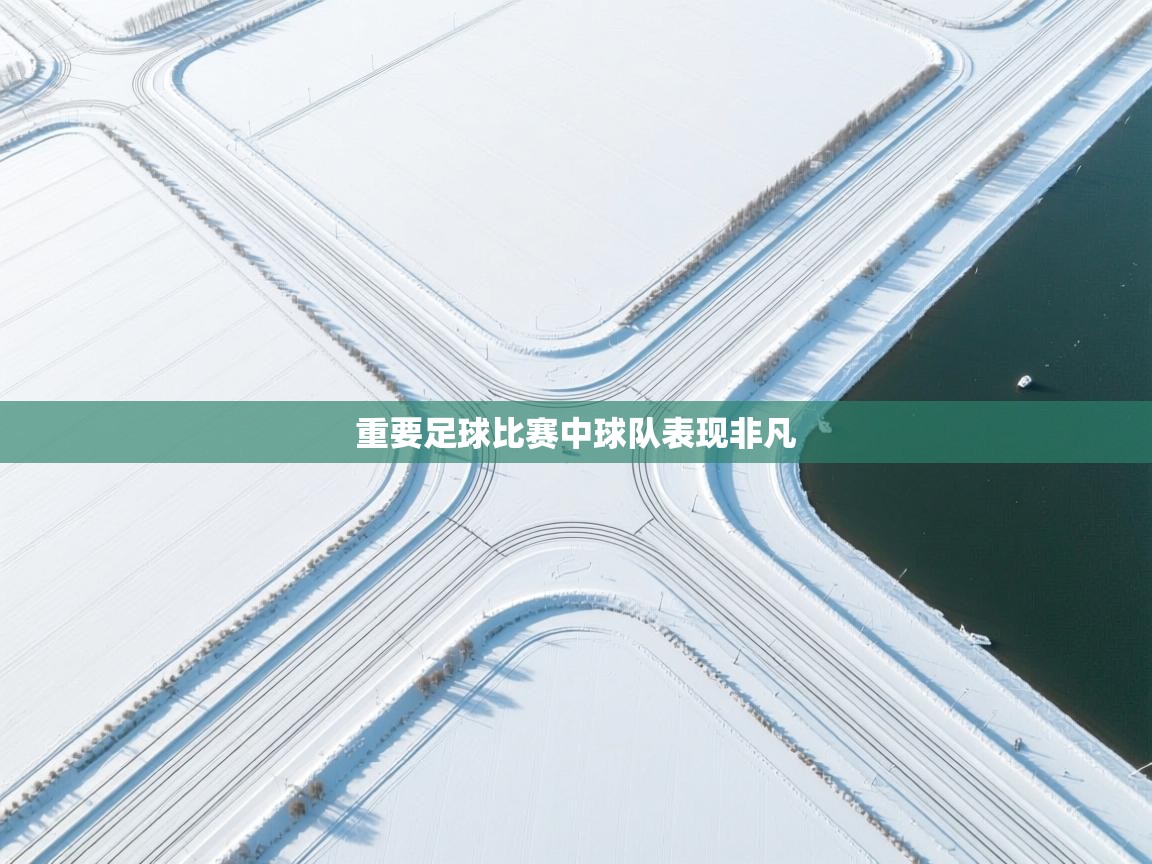 重要足球比赛中球队表现非凡  第2张