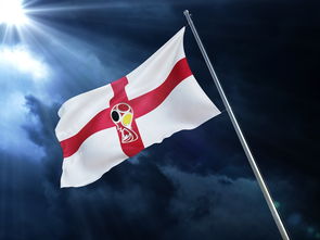 2025世俱杯在线观看-出战豪强逐鹿精英争锋欧洲赛事中